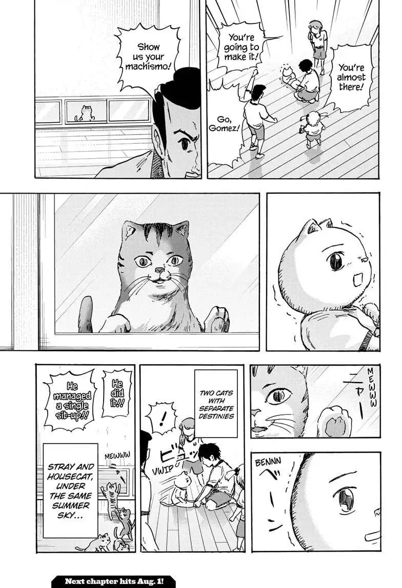 High School Family: Kokosei Kazoku Chapter 47 15